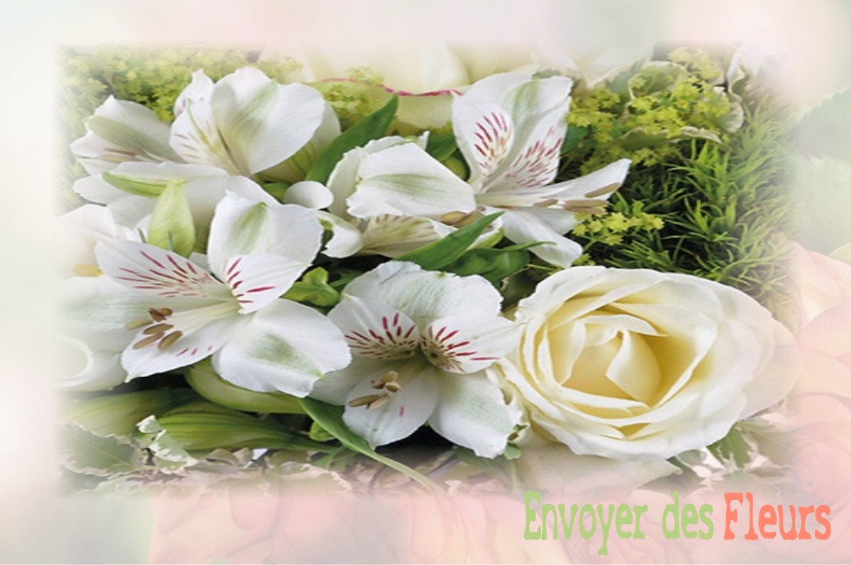 envoyer des fleurs à à VERNOU-SUR-BRENNE
